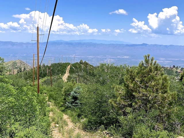 Looking down the rough jeep trail, across the San Pedro River valley to the Galiuro Mountains (~24 mi.) and Mount Graham (~49 mi.).