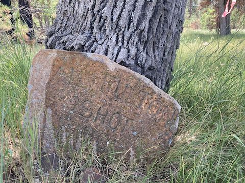 "Al Fulton - Shot - 1901" Al Fulton supposedly died in 1888, during the Pleasant Valley War. Who knows which date is correct, or if there were two Al Fultons?