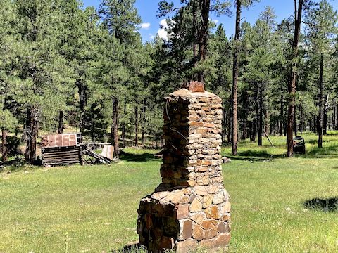 Aspen Spring appears to have had more than one cabin. Note the side by side, middle right. I wonder if it belonged to the flower survey gals?