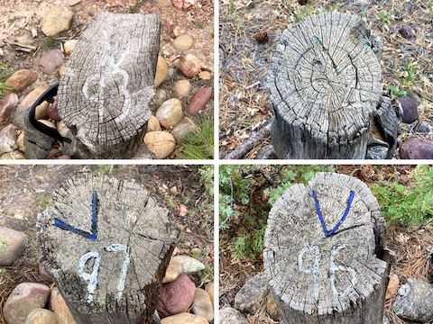 Clockwise from upper left: General Crook Trail mile markers V93, V94, V96 and V97. I also found V98. I never found V90, V91, V92 or V95.