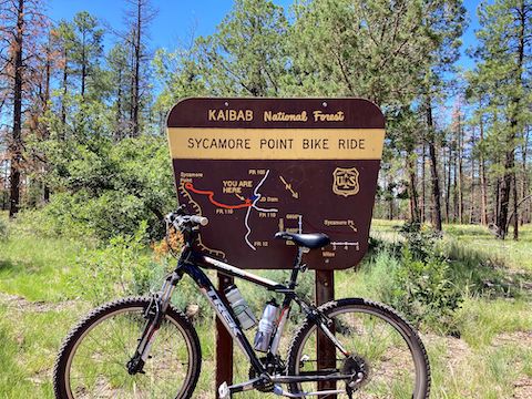 Despite its remoteness, there are enough signs that this is not a backcountry bike ride. Plus, ya know, wide gravel roads.