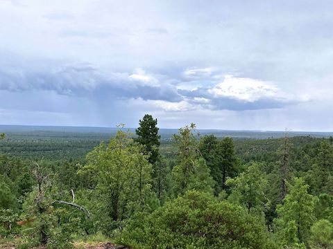 Looking north from FR 51C, towards rain over the town of Heber-Overgaard.