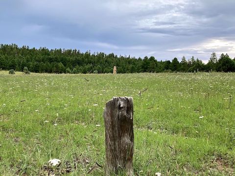 Adjacent to the Holcomb Homestead "driveway", and equidistant -- by Boy Scout standards -- from V98 and V100. (Ranch chimney in distance.) Fence posts don't have slanted tops. I wonder if this is V99?