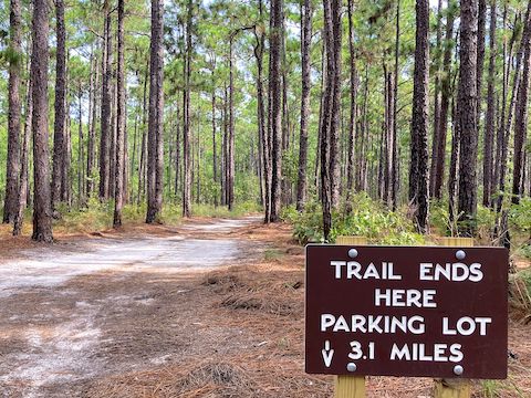 Forgive me for observing that Dead End Spur Trail does not, in fact, end here.