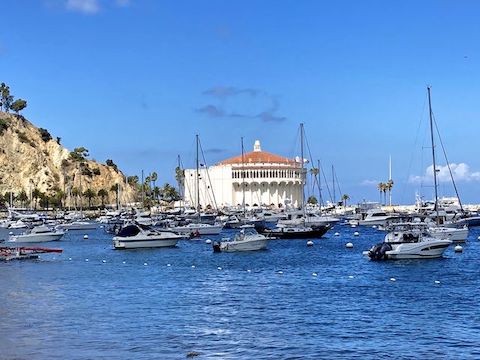 In Avalon, we met up with family, walked up the prominade to the Catalina Casino, then doubled back for lunch at Bluewater Grill. (Excellent fish & chips.) Too late, we realized there are jeep tours of Catalina's interior. I did have time for multiple ice cream cones though. Priorities.