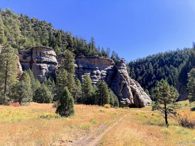 Sandys Canyon, approaching Fisher Point. Walnut Canyon on the right. Note the lack of flowers. (Mid-August is peak.) High country flowers I did spot, in passing, included broom-like ragwort, velvety goldenrod, western yarrow, hoary aster, and showy goldeneye.