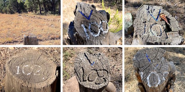 General Crook Trail mile markers ... Top Row: V99 (?) with possible wagon ruts, V100 and V101 ... Bottom Row: V102, V103 and V105.