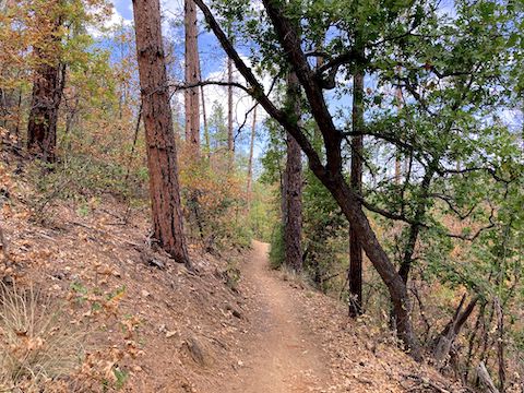 Typical Goldwater Lakes Trail #396 tread.