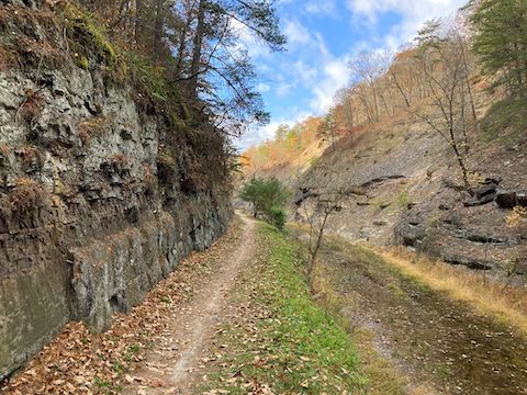 From Tunnel Hill Trail, the C&O Canal towpath is singletrack for the next 0.2 miles up Tunnel Hollow. Not much fall color remained. I saw no flowers at all.