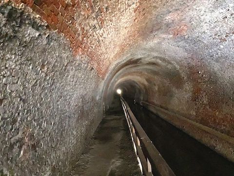 Light extended ~150 ft. into Paw Paw Tunnel's north end. (Maybe 300 ft. at its sun-facing south end.) After that, it gets pitch black. Note the uneven, wet, C&O Canal towpath surface. Don't forget to bring a flashlight!