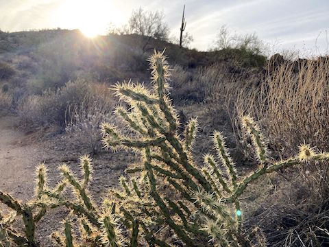 Though it was light enough to hike, it was only 37°, so I waited for the sun to peak over the hills. I headed out around 8:30.