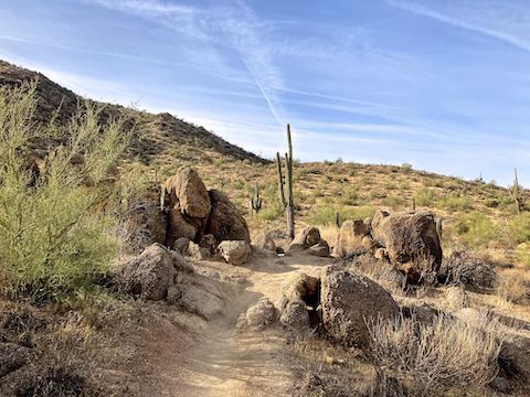 Not many boulders on Twisted Sister Trail. Being mid-winter, I saw no desert flowers at all.