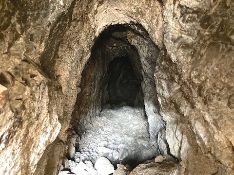 On Mine Trail, which is the mile of Saguaro Trail #50 between Twisted Sister and Riverview. The adit was barred ten feet in. Not like my old mine exploring days !