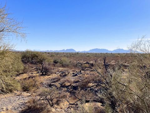 Badger Brawl Trail crossing Cave Creek. The terrain is otherwise flat, so you can see (left to right) Granite Mountain, Four Peaks, Tom's Thumb, McDowell Peak, Thompson Peak, and other points east.