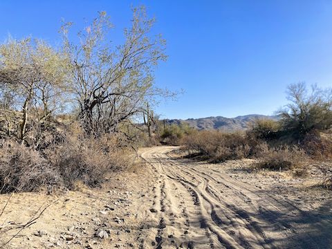 Deep sand in the washes between Sun Valley Parkway and the White Tank Mountains. 