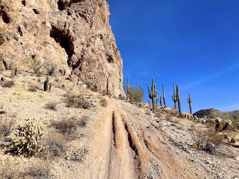 Heading north, up along the east side of Elephant Rock. (The video thumbnail, below, shows the east face.)