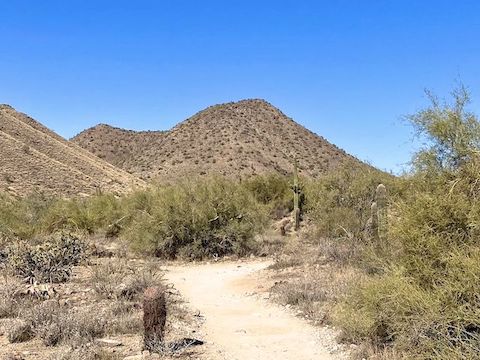 Looking at the south slope of Hill 2572. Lost Dog Wash Trail had a decent surface. While not as busy as Piestewa Peak, there were plenty of hikers and dogwalkers. Even a couple of mountain bikes!