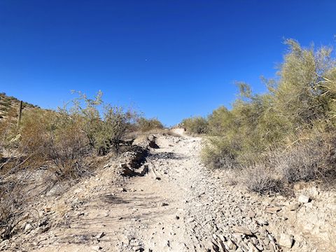 From LD5 to LD7, Lost Dog Wash Trail is co-located with Old Jeep Trail -- which is broken and rocky. At LD7, turn left: Taliesin Overlook is in 200 ft. Still a mile away, Taliesin is hard to see, so the "overlook" is more of a rest spot / vista.