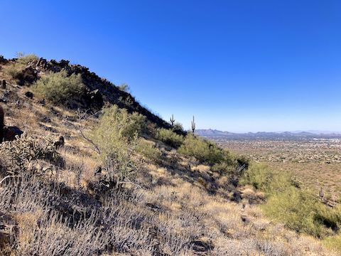 I found a faint use trail leading away from the overlook, along the 2100 ft. contour -- basically aiming towards those two saguaro. "Sweet", I think, "I'll be able to cruise right over to Taliesin!"