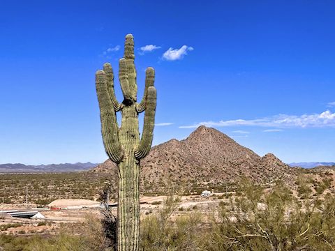 Looking across 51st Ave., and the CAP Canal, towards Pyramid Peak. I imagine 51st Ave. will soon be extended through to the TSMC chip fab at the Loop 303.