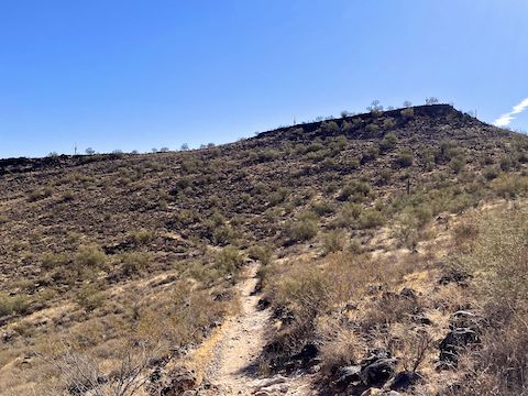 Looking south on Circumference Trail, towards Hill 1893. Basalt Trail crosses the hill's mid-slope. Palisade Trail follows the spur up to the "summit".