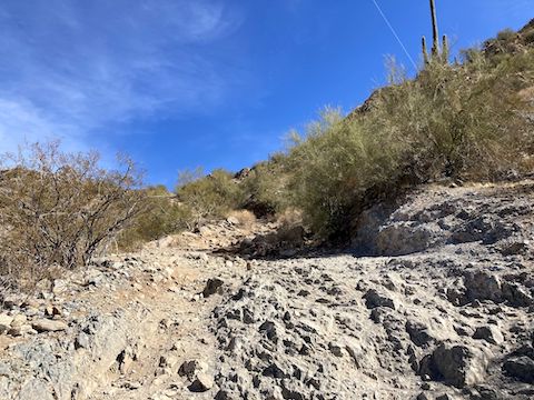 Looking back up Goldmine Trail's steep drop.