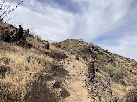 Same location as the header photo, but looking the opposite direction, 100 yds. to the top of Hau'Pal Loop. Left for the 3.0 mile loop, right along Alta Trail for the 5.5 mile loop.