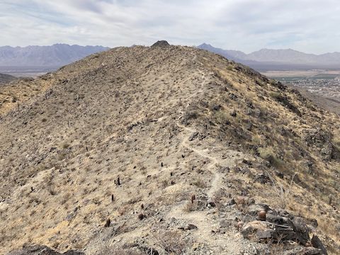 The hard work done, I hiked west on Alta Trail, along the Ma Ha Tauk ridgeline.