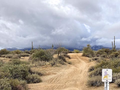 Somewhere out there are Thompson Peak, Bell Pass, McDowell Peak, Windgate Pass, East End, Marcus Landslide, and Rock Knob.