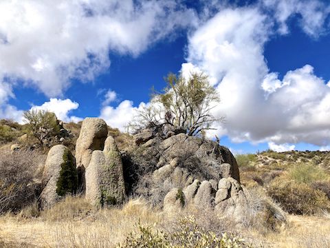 Granite boulders on Granite Trail. Note the lack of flowers on the bursage and brittlebush -- which are currently blooming around Shadow Mountain in north central Phoenix.