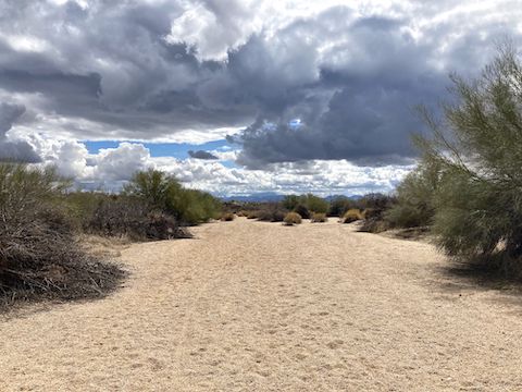 Entering Stoneman Wash, the highlight was the clouds.