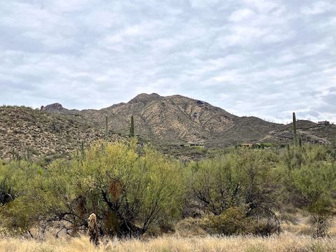 Looking south at Black Mountain from Military Rd. The trail ascends from the right. It doesn't look that bad ...