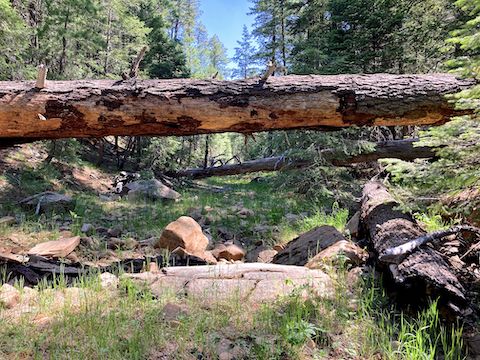 Under the log; over the log. Repeat.