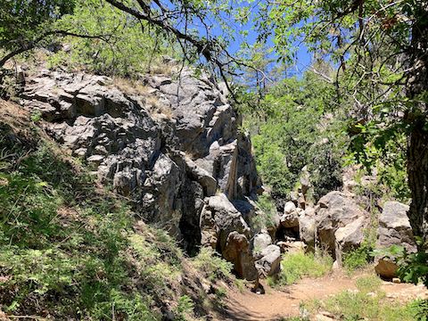 Dryfall on Aspen Creek Trail #48.