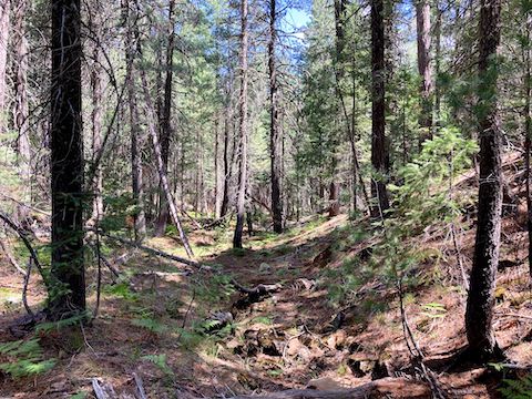 Typically mild Sandstone Canyon terrain above the long pool.