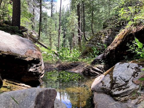 Just short of a mile down Sandstone Canyon, there is a long pool. No way it would fit in frame, so here is a small one. These sorts of puzzles are not difficult, or dangerous, but they do add time and physical effort.