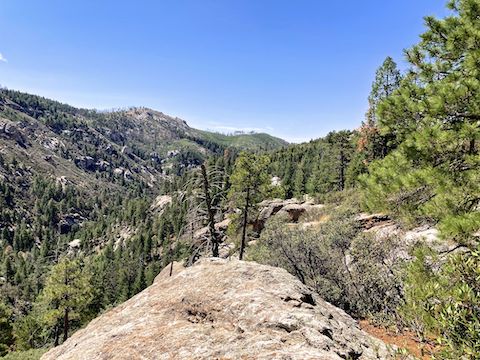 Looking down Sabino Canyon from the Aspen Trail #93 view point.