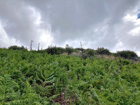 Somewhere up there is the summit of Marshall Peak. The weather changed that quick. Later that evening Tucson got 1.7" of rain.