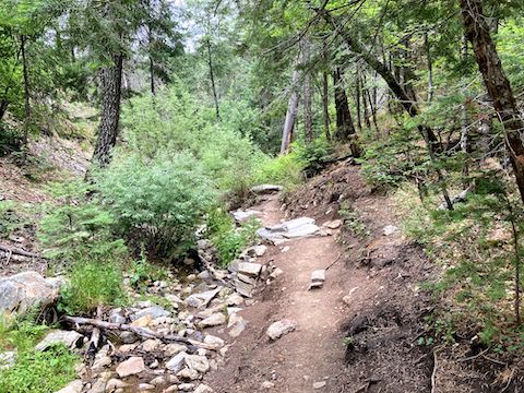 Marshall Gulch Trail #3 is my favorite on Mount Lemmon.