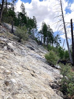Sunset Trail #90 above Sabino Canyon.
