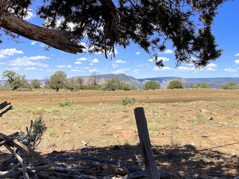 Looking across dry Committee Tank, northwest towards Wilson Mountain.