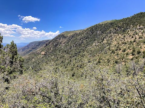 The Jacks Canyon side of Munds Mountain.
