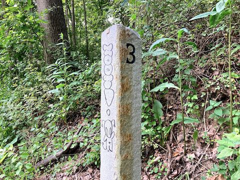 GAP Trail milepost. The railroad has a metal mileage signs, located ⅓ mile after, and numbered 166 more than, the nearest GAP Trail milepost. Graffiti is rare.