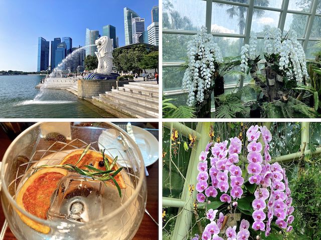 Clockwise from upper left: 1) Merlion at Marina Bay; downtown in back. 2) Angraecinae orchid -- not sure which species -- in the much appreciated relief of the Sembcorp Cool House. 3) Phalaenopsis, aka Moth Orchid or Moon Orchid. 4) Gin & tonic at ... Tonic.