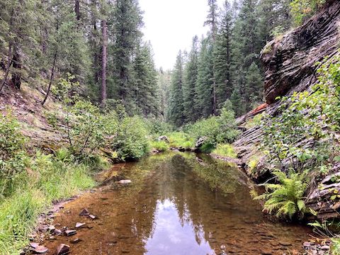 This Bear Canyon pool is deeper than it looks. Probably 18". Not much choice but get wet.