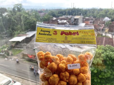 I spent the afternoon pounding this bag of Indonesian corn nuts. Rp 13,000 is only 80¢! Holy cow, they were good.