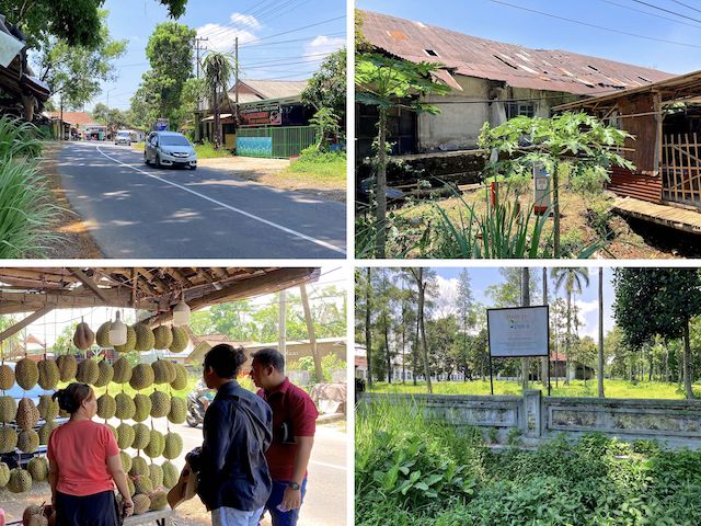 Clockwise from upper left: 1) Street scene in Jelbuk. 2) Nope. Not it. 3) Not it either. 4) Durian warung. Durian has a reputation for smelling awful, but I didn't notice anything. Tasted good too.