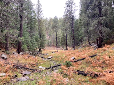 The end of McClintock Draw, at Dane Canyon.