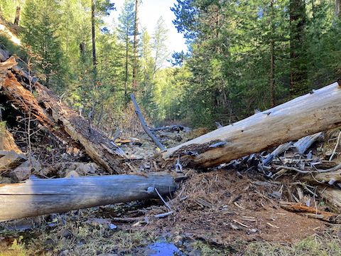 Porcupine Canyon: Tricky puzzle. Don't want to step in any hidden holes!