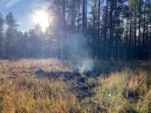 Apache Maid Mountain: The Coconino National Forest was conducting a controlled burn between T-Bar Ranch and Happy Jack.